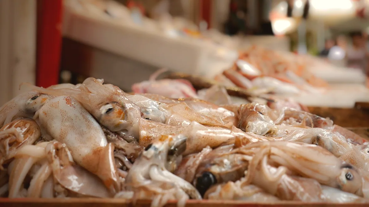 Cefalopodos frescos sobre el hielo de un puesto de pescado.